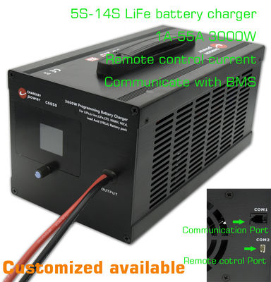 14S LFP Lithium Lifepo4 AC To DC Зарядщик батареи Система хранения энергии 51.1V 3000W